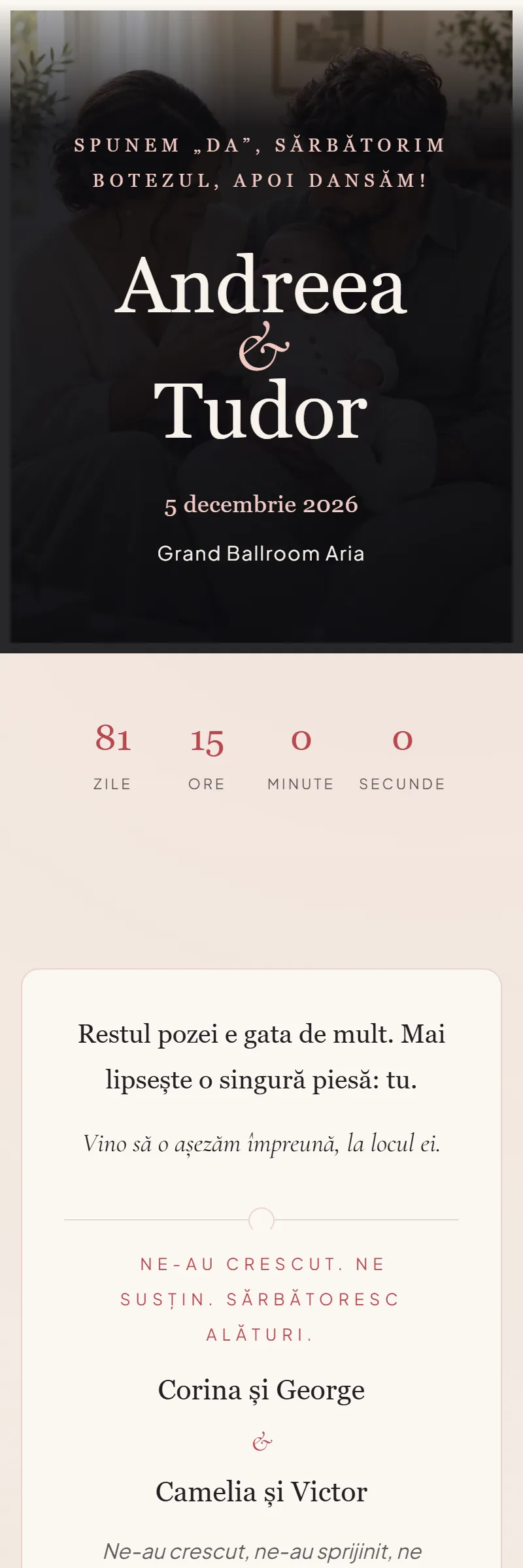 Invitație online de Nuntă & Botez, modelul Piesa lipsă